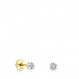 Tous Tous Diamonds Small Women's Earrings 18k Gold | SBA932701 | Usa