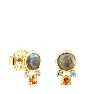 Tous Virtual Garden Small Women's Earrings 18k Gold | ESD392475 | Usa