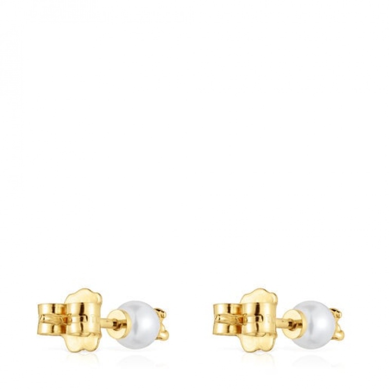 Tous Bold Bear Small Women's Earrings 18k Gold | JBZ871560 | Usa