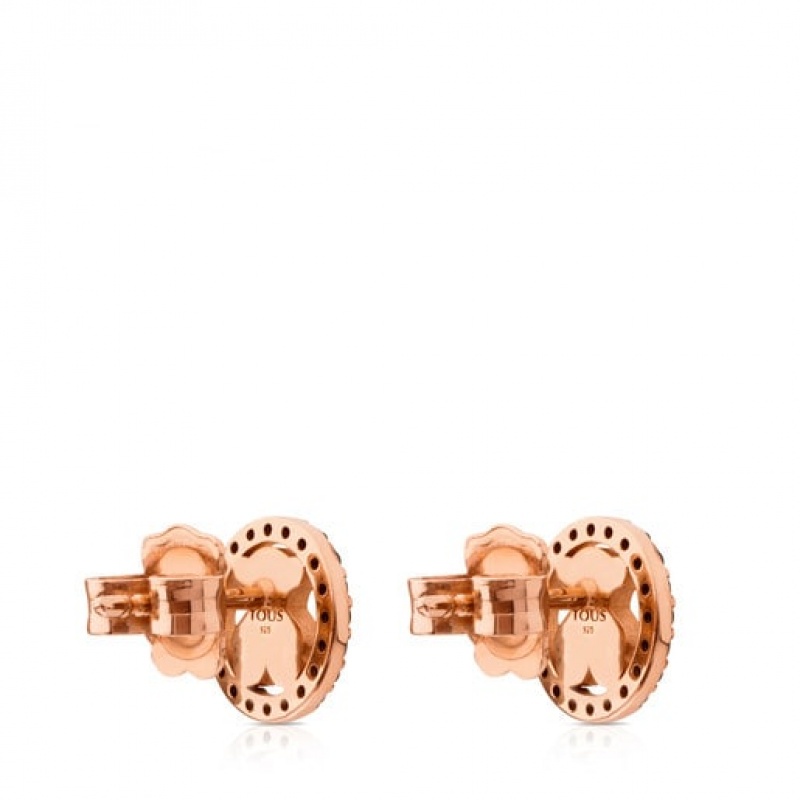 Tous Camille Small Women's Earrings 18k Gold | EQZ349560 | Usa