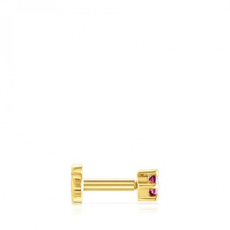 Tous Cool Joy Individual Women's Earrings 18k Gold | KBV196538 | Usa