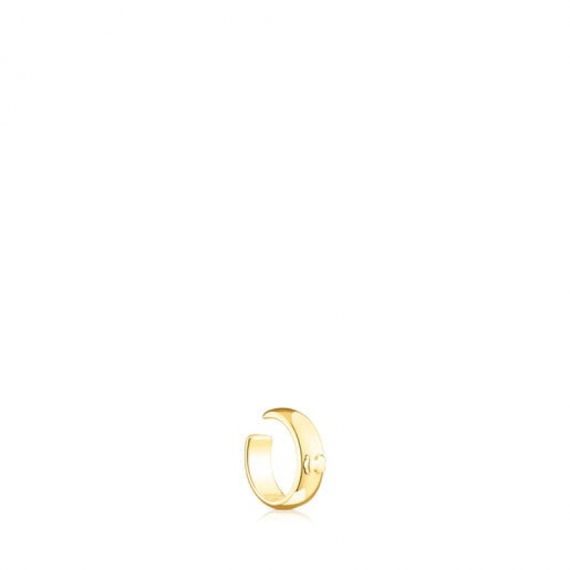 Tous Fellow Hoop Women\'s Earrings 18k Gold | WOR350872 | Usa