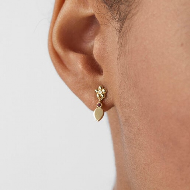 Tous Fragile Nature Women's Earrings 18k Gold | BXK048375 | Usa