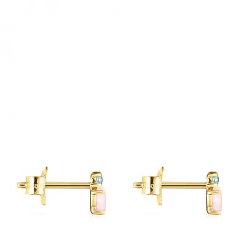 Tous Ivette Small Women's Earrings 18k Gold | CHL247983 | Usa