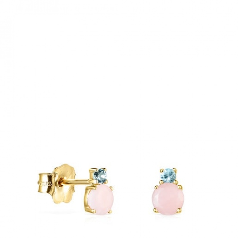 Tous Ivette Small Women\'s Earrings 18k Gold | CHL247983 | Usa