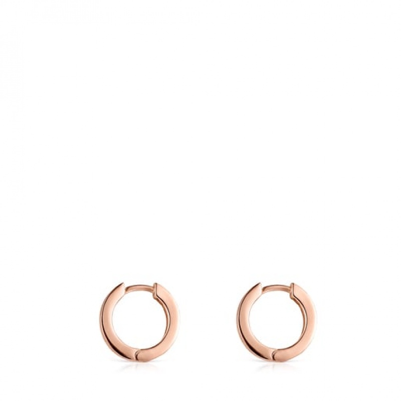 Tous Motif Hoop Women's Earrings 18k Gold | VGX410758 | Usa