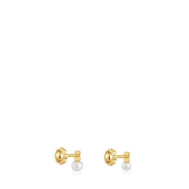 Tous Puppies Small Women's Earrings 18k Gold | EKD857243 | Usa