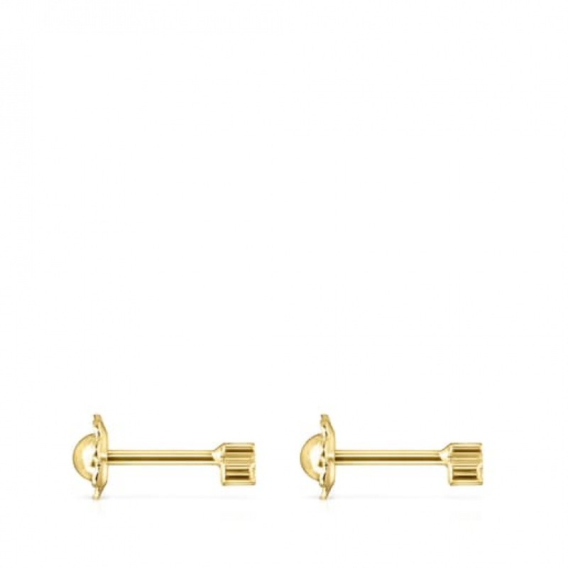 Tous Straight Small Women's Earrings 18k Gold | ZNA293607 | Usa