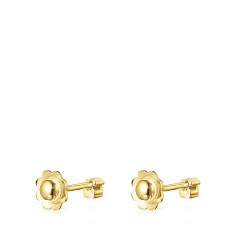 Tous Straight Small Women's Earrings 18k Gold | ZNA293607 | Usa