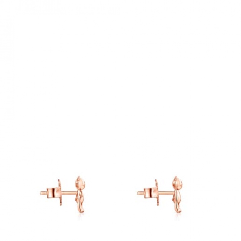 Tous Teddy Bear Small Women's Earrings 18k Gold | RHX579460 | Usa