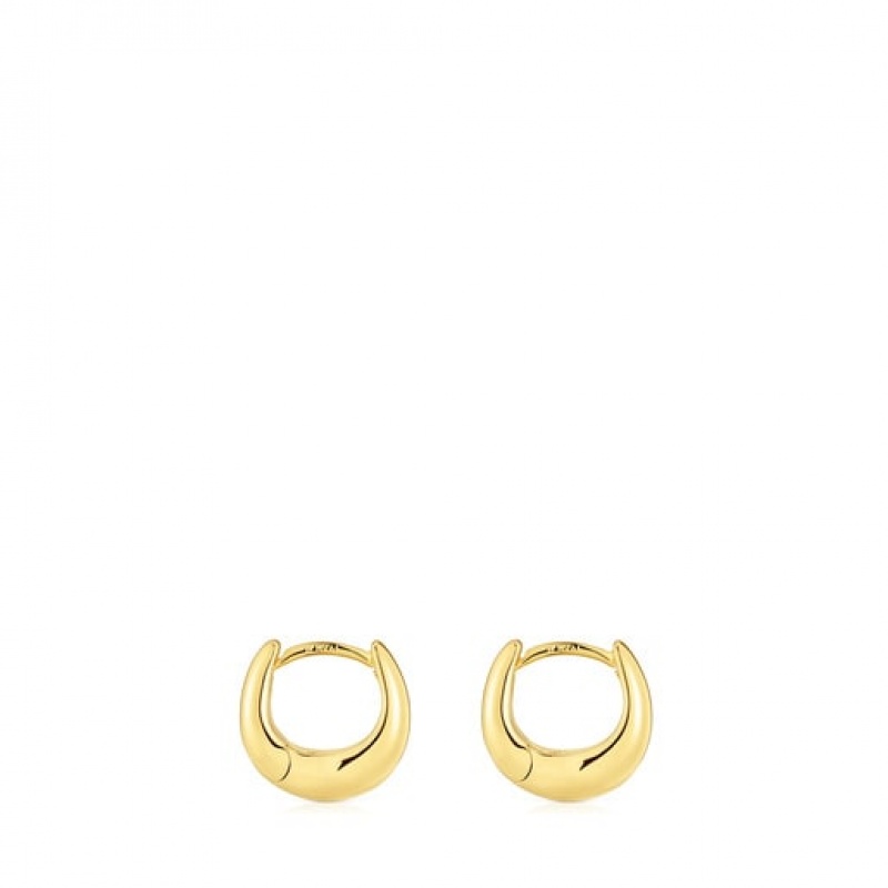 Tous Tous Basics Hoop Women's Earrings 18k Gold | NHP937426 | Usa