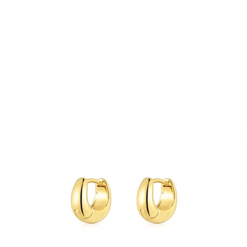 Tous Tous Basics Hoop Women's Earrings 18k Gold | NHP937426 | Usa