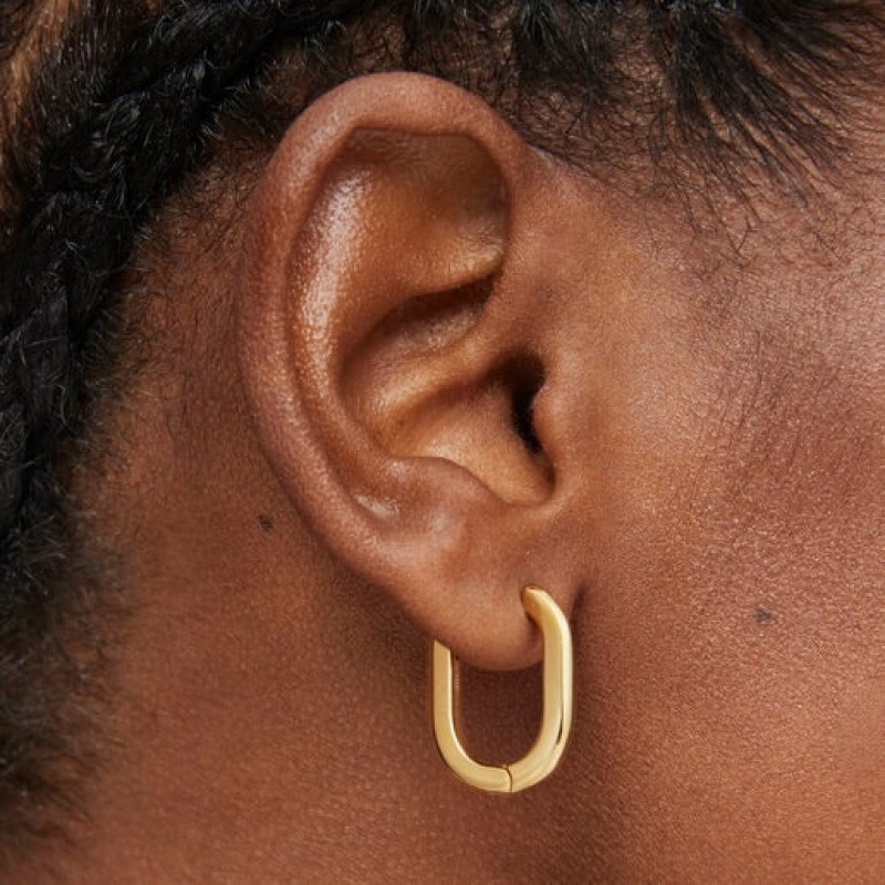 Tous Tous Basics Hoop Women's Earrings 18k Gold | CFB498270 | Usa