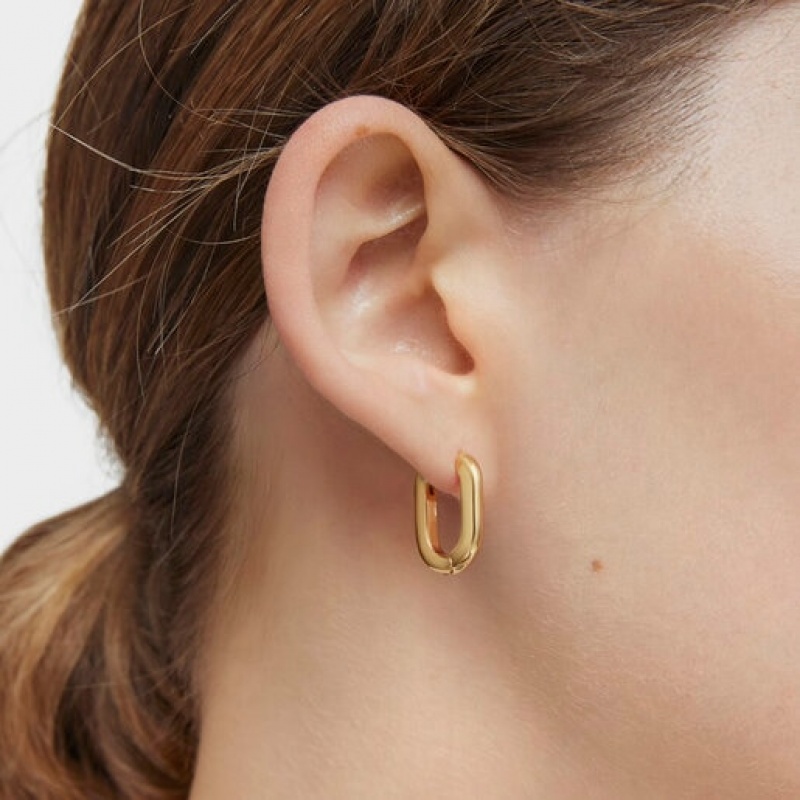 Tous Tous Basics Hoop Women's Earrings 18k Gold | NDR468925 | Usa