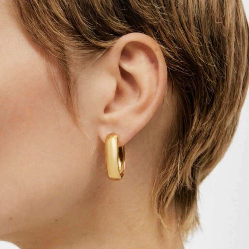 Tous Tous Basics Hoop Women's Earrings 18k Gold | KAZ271683 | Usa