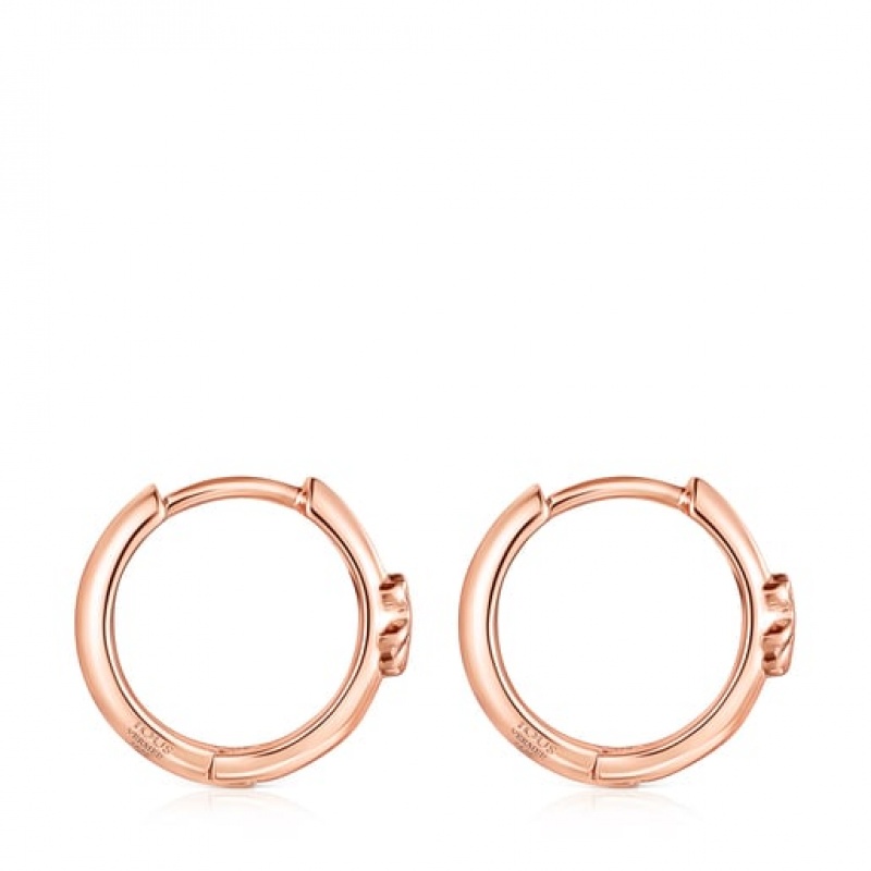 Tous Tous Basics Hoop Women's Earrings 18k Gold | DWF867921 | Usa