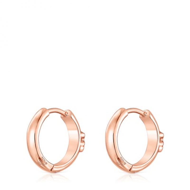 Tous Tous Basics Hoop Women's Earrings 18k Gold | DWF867921 | Usa