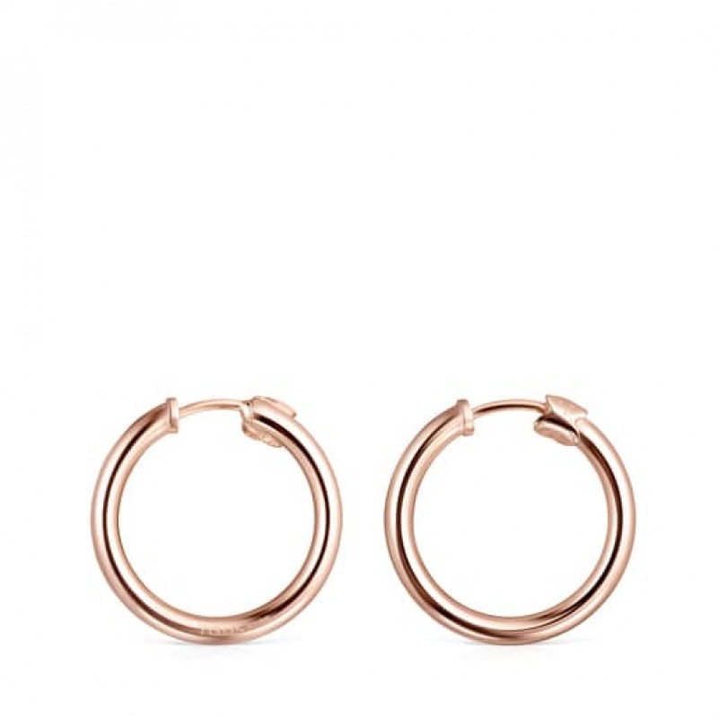 Tous Tous Basics Hoop Women's Earrings 18k Gold | GFX346712 | Usa