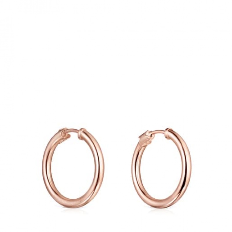 Tous Tous Basics Hoop Women's Earrings 18k Gold | GFX346712 | Usa