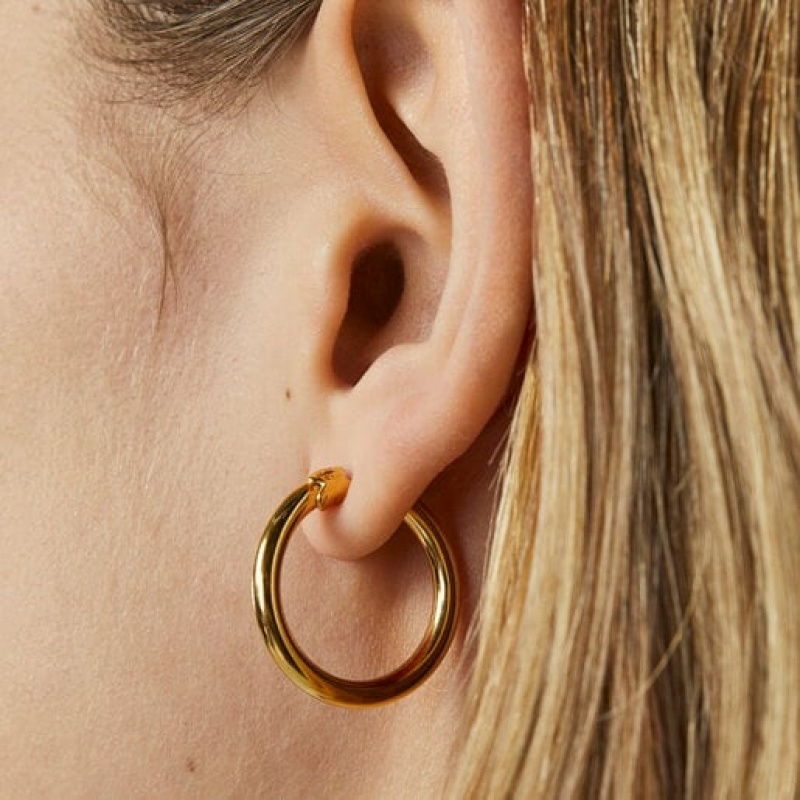 Tous Tous Basics Hoop Women's Earrings 18k Gold | HBV190632 | Usa