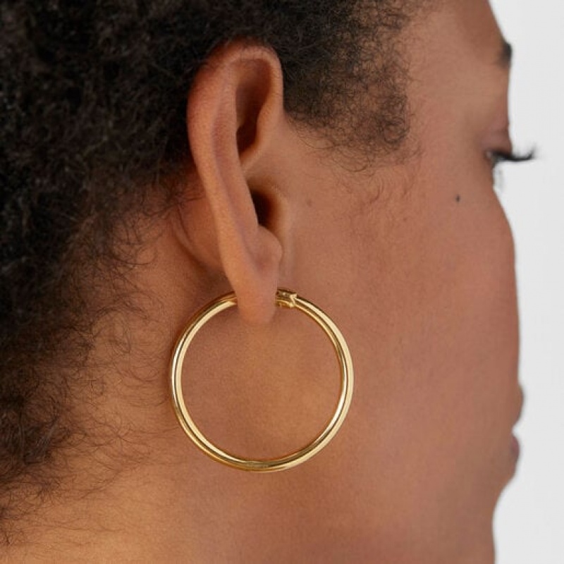 Tous Tous Basics Hoop Women's Earrings 18k Gold | WDP407952 | Usa