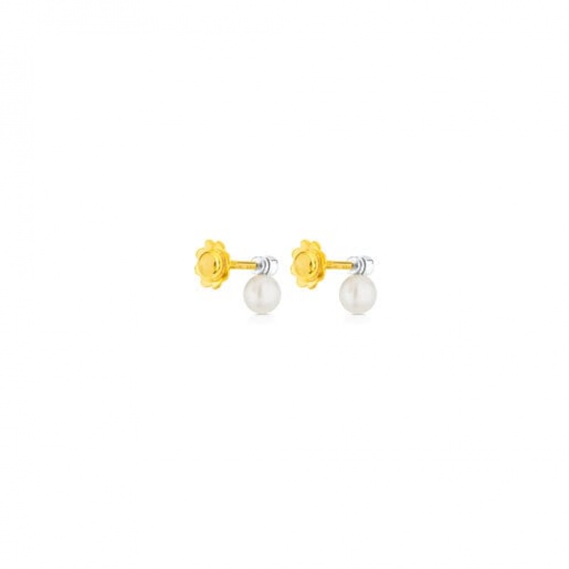 Tous Tous Basics Pearl Women's Earrings 18k Gold | QOX613485 | Usa