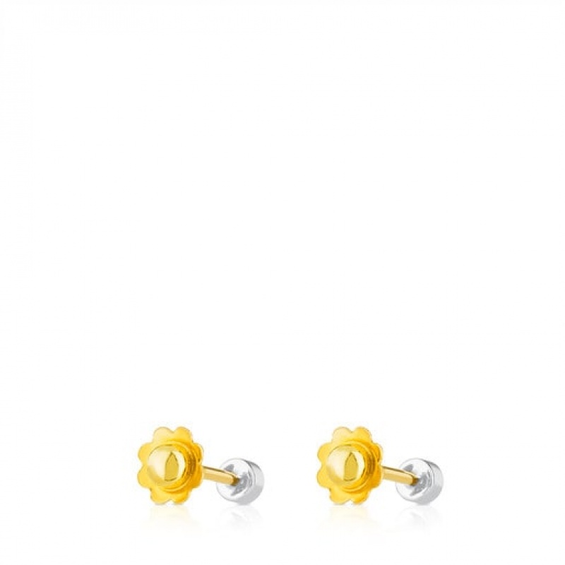 Tous Tous Diamonds Small Women's Earrings 18k Gold | QVB526798 | Usa