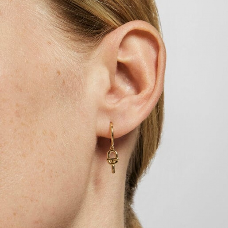 Tous Tous Manifesto Individual Women's Earrings 18k Gold | WXL352701 | Usa