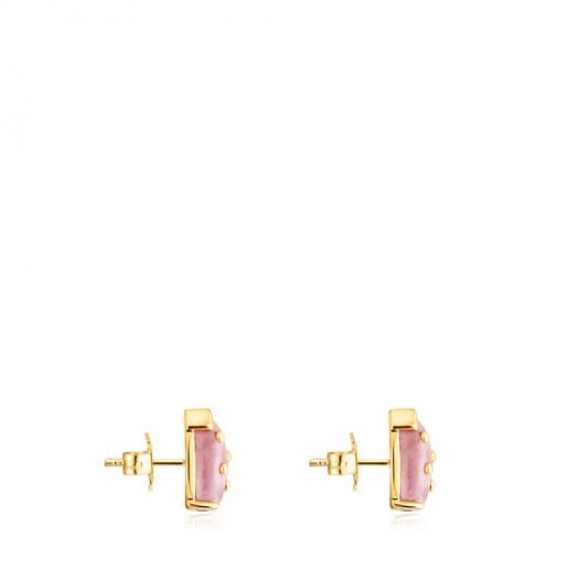 Tous Virtual Garden Small Women's Earrings 18k Gold | KGY753914 | Usa